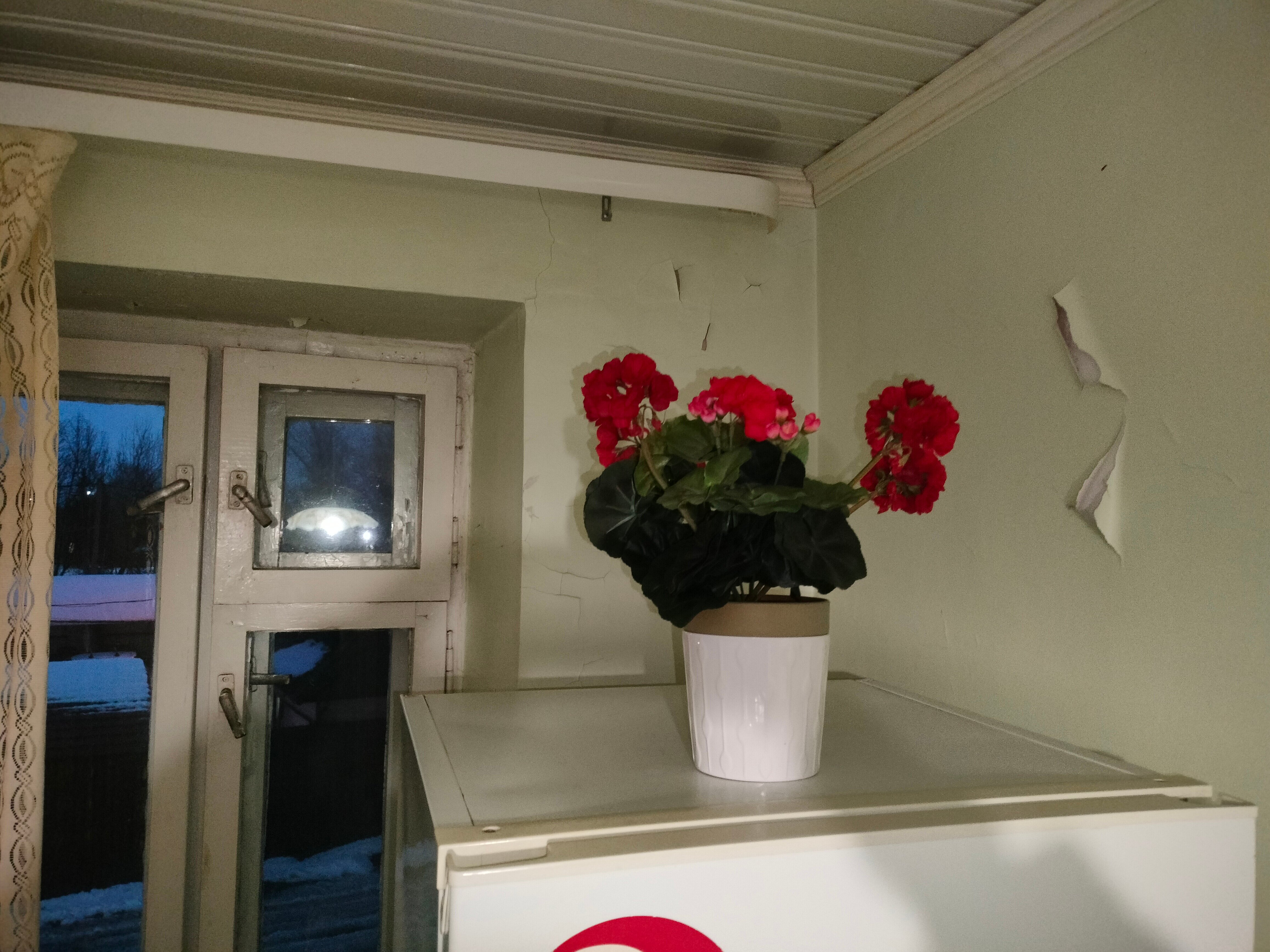 Фото Петровская