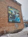 Центр спортивной борьбы Александр Невский (Belinskogo Street, 9Ак4), club deportivo, sección