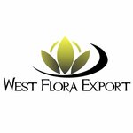WestFloraExport (Varshavskoye Highway, 170Ас14), flower market