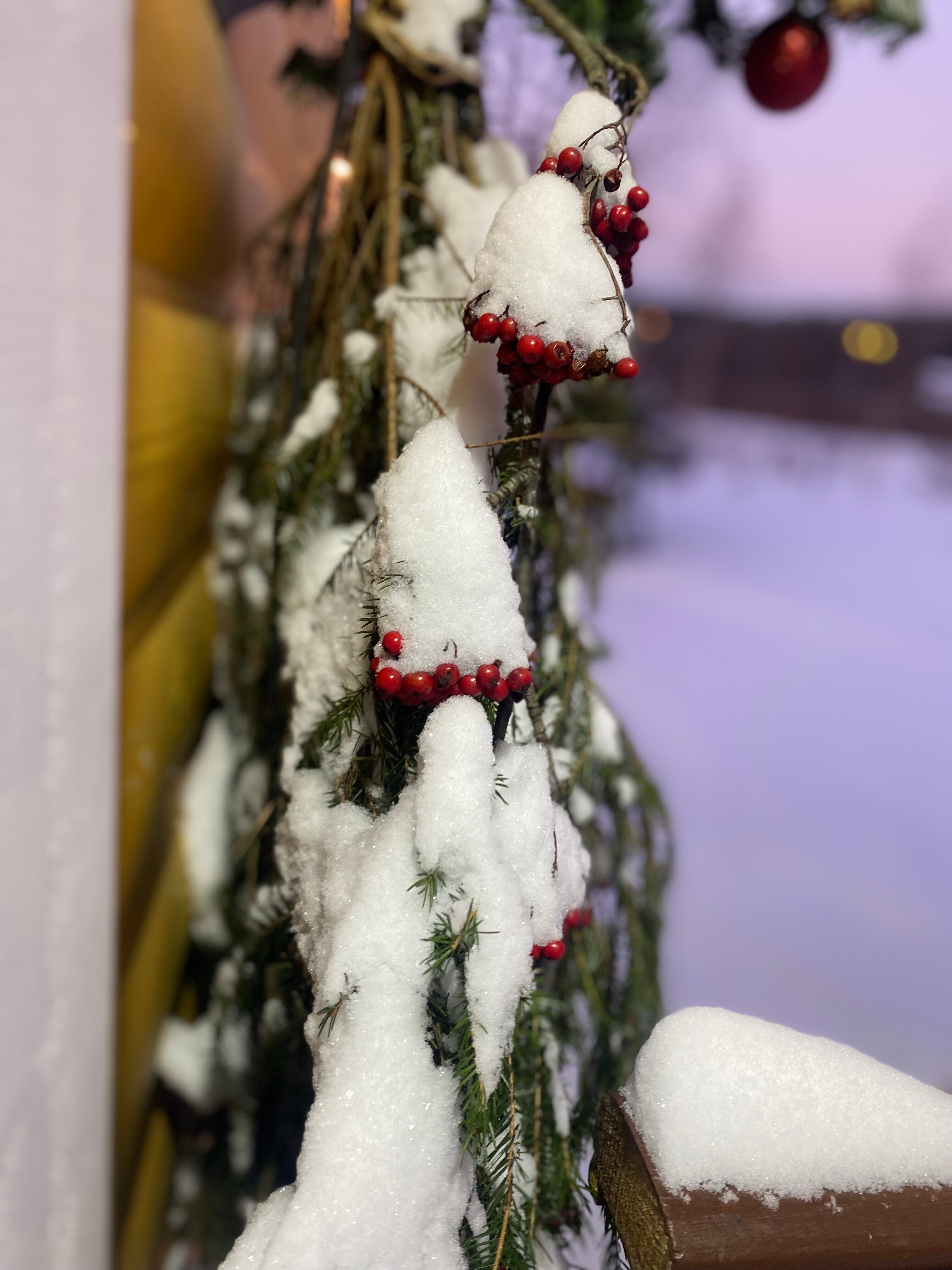 Фото Берлога люкс