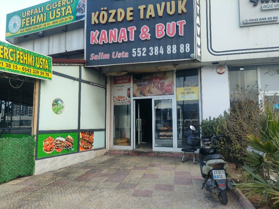 Cafe Selim Master Grilled Chicken Wings and Thighs, Gaziantep, photo