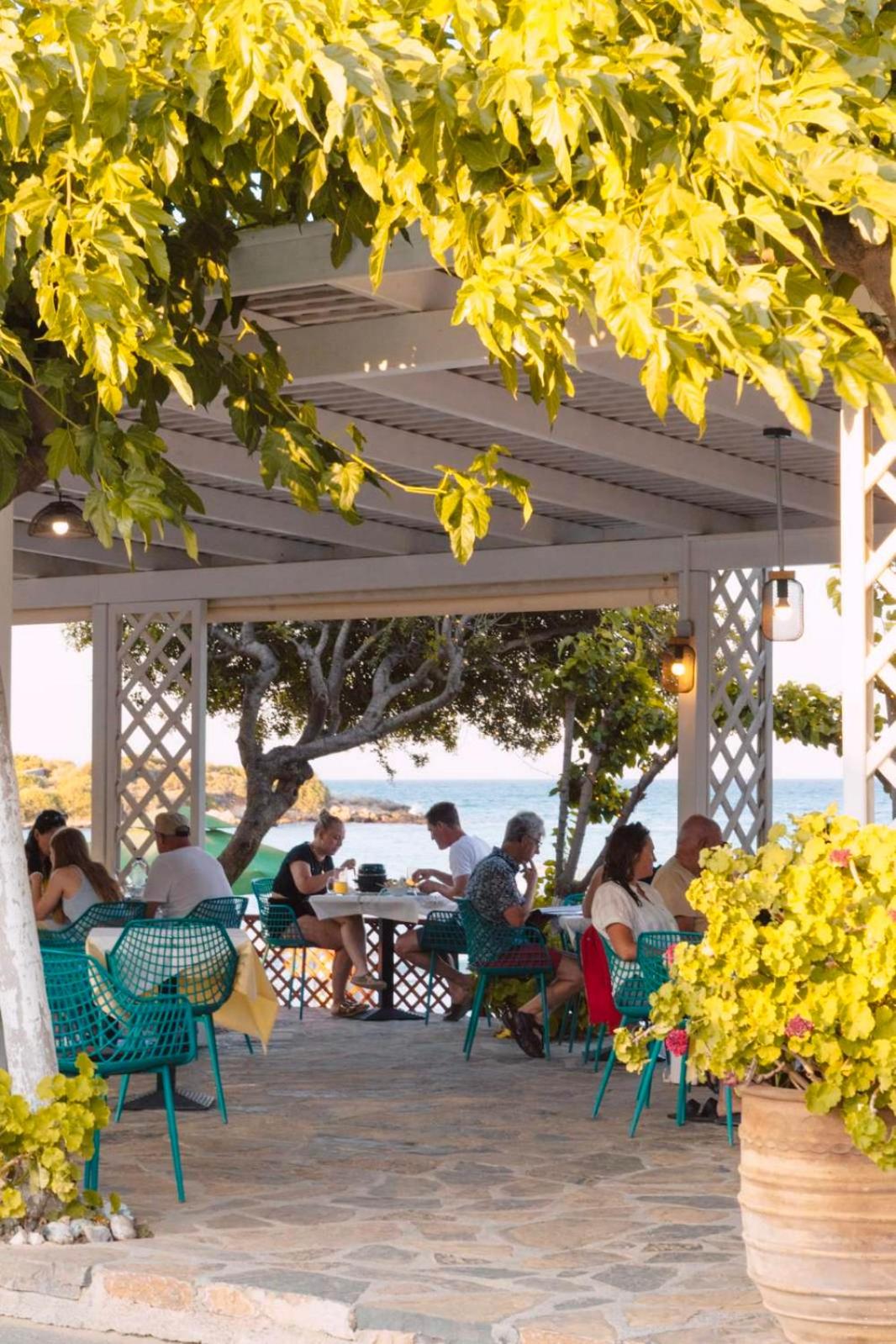 Фото Faedra Beach Hotel