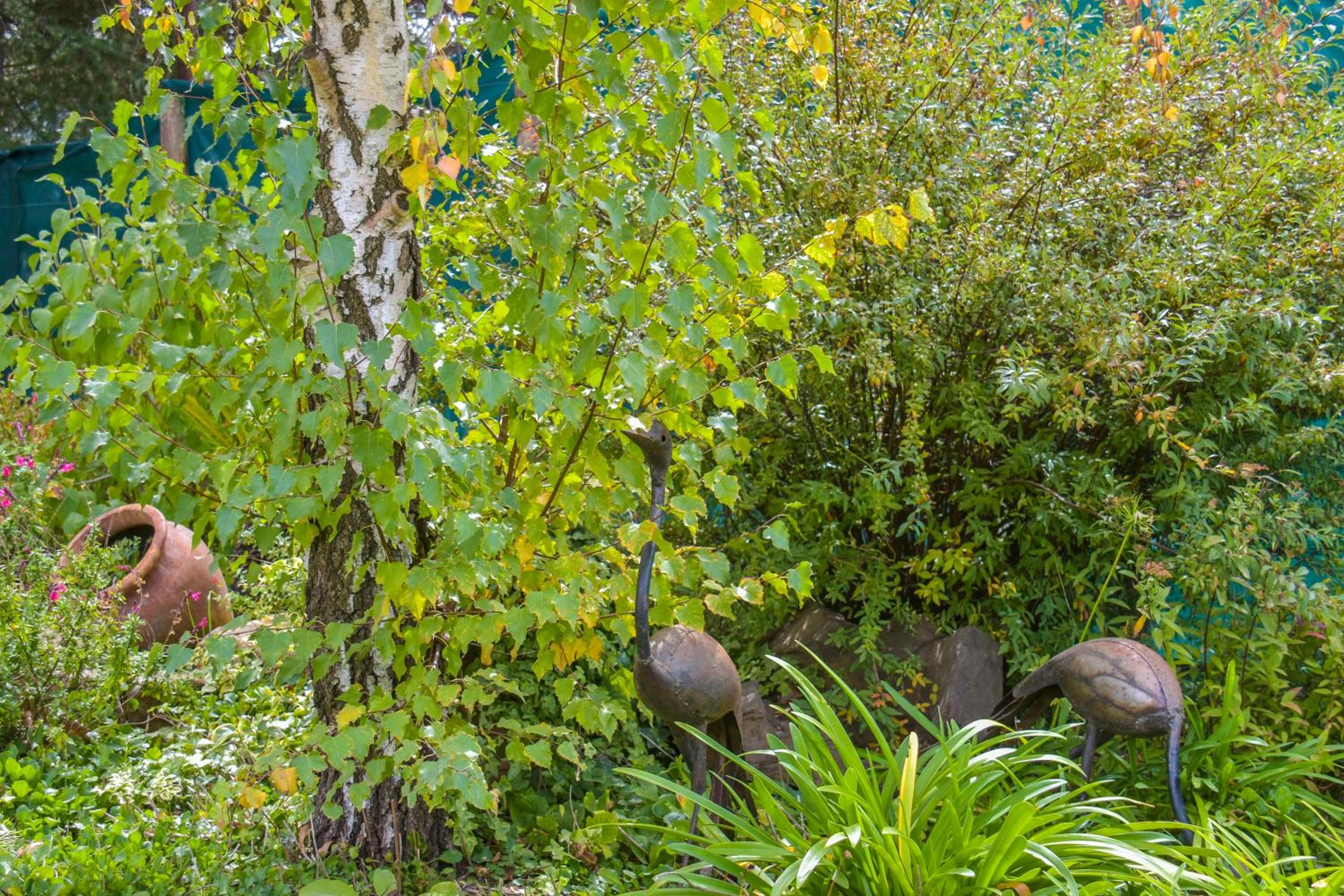 Фото Clarens Retreat