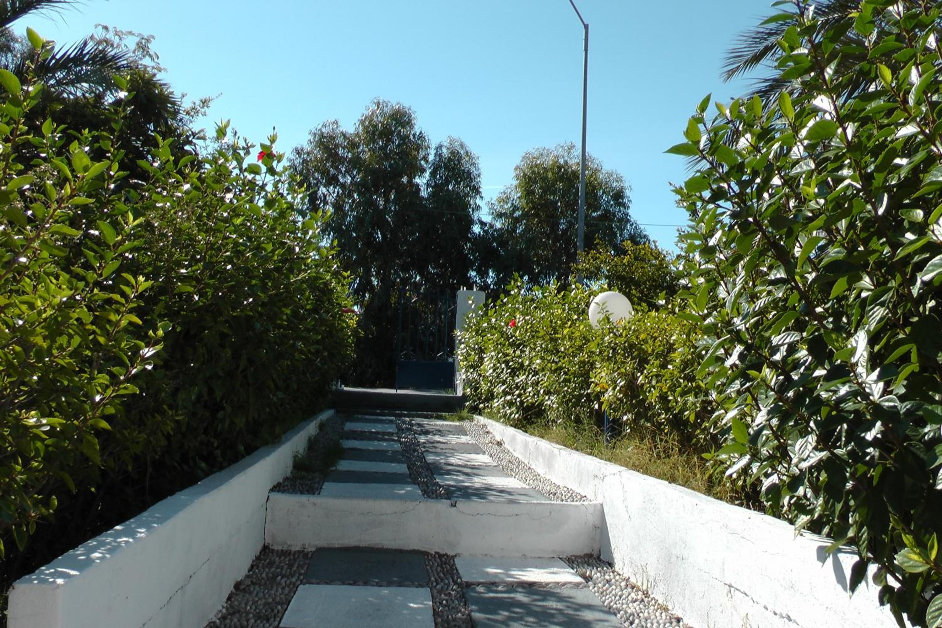 Фото Petasos Apartments