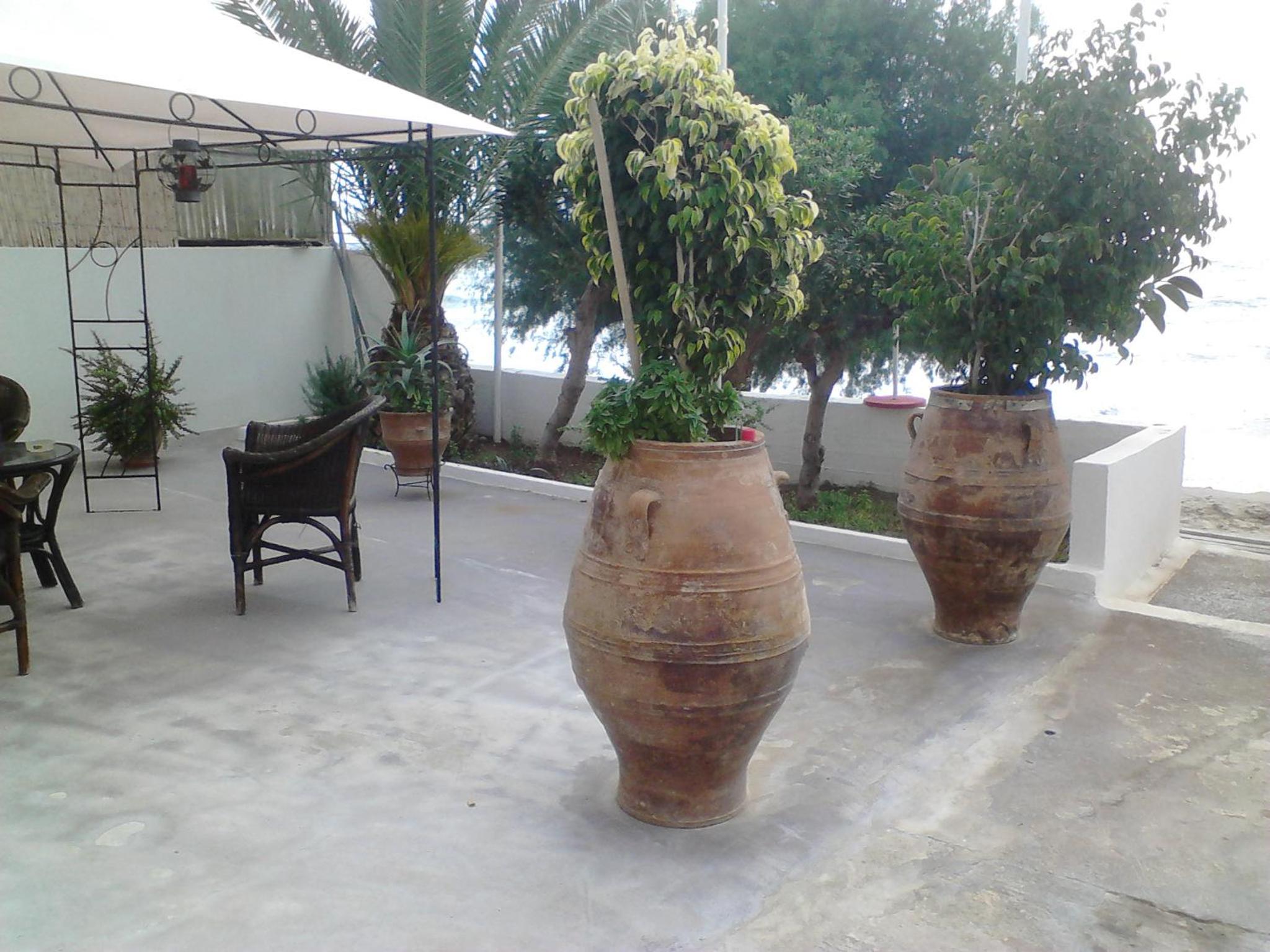 Фото Cretasun Apartments