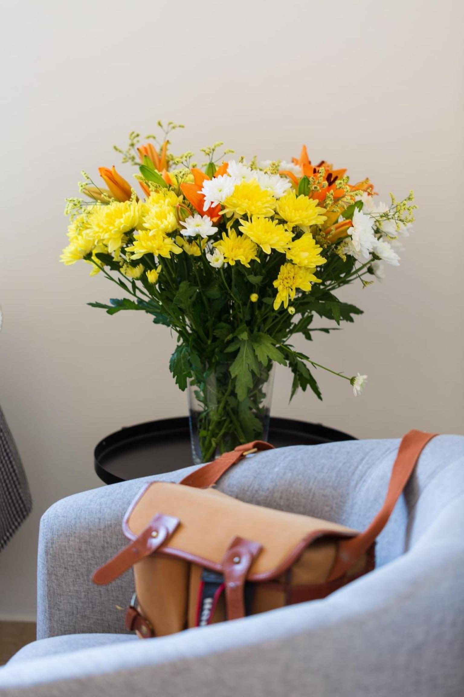 Фото Artemis Cynthia Complex