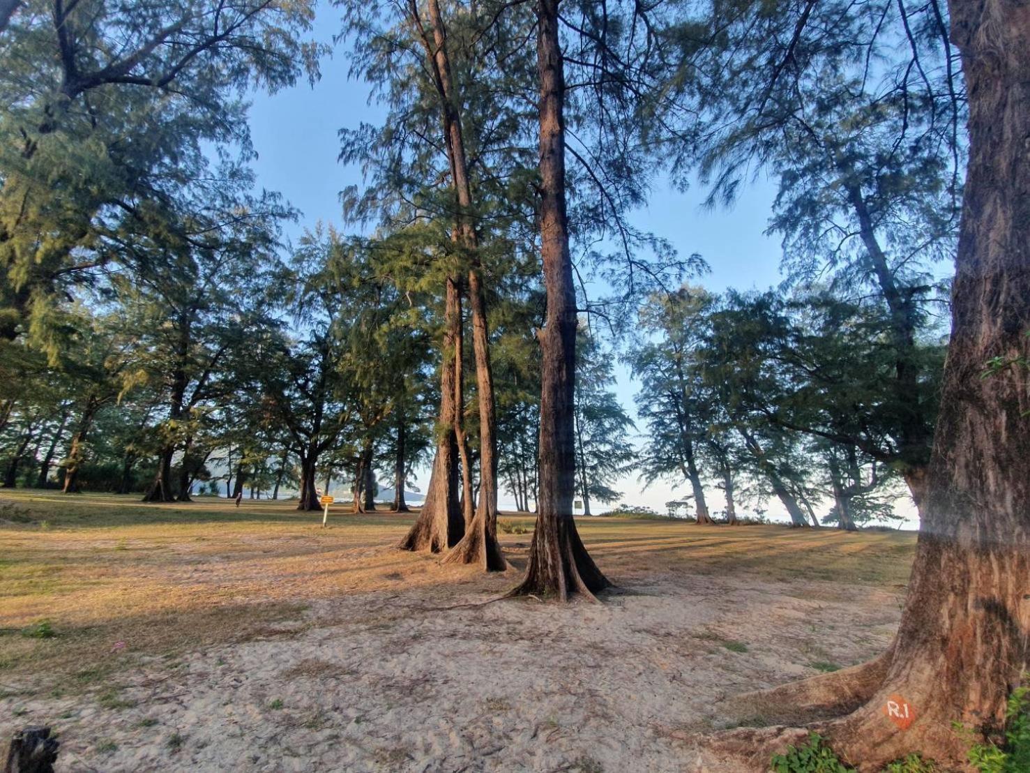 Фото Atom Phuket Hotel