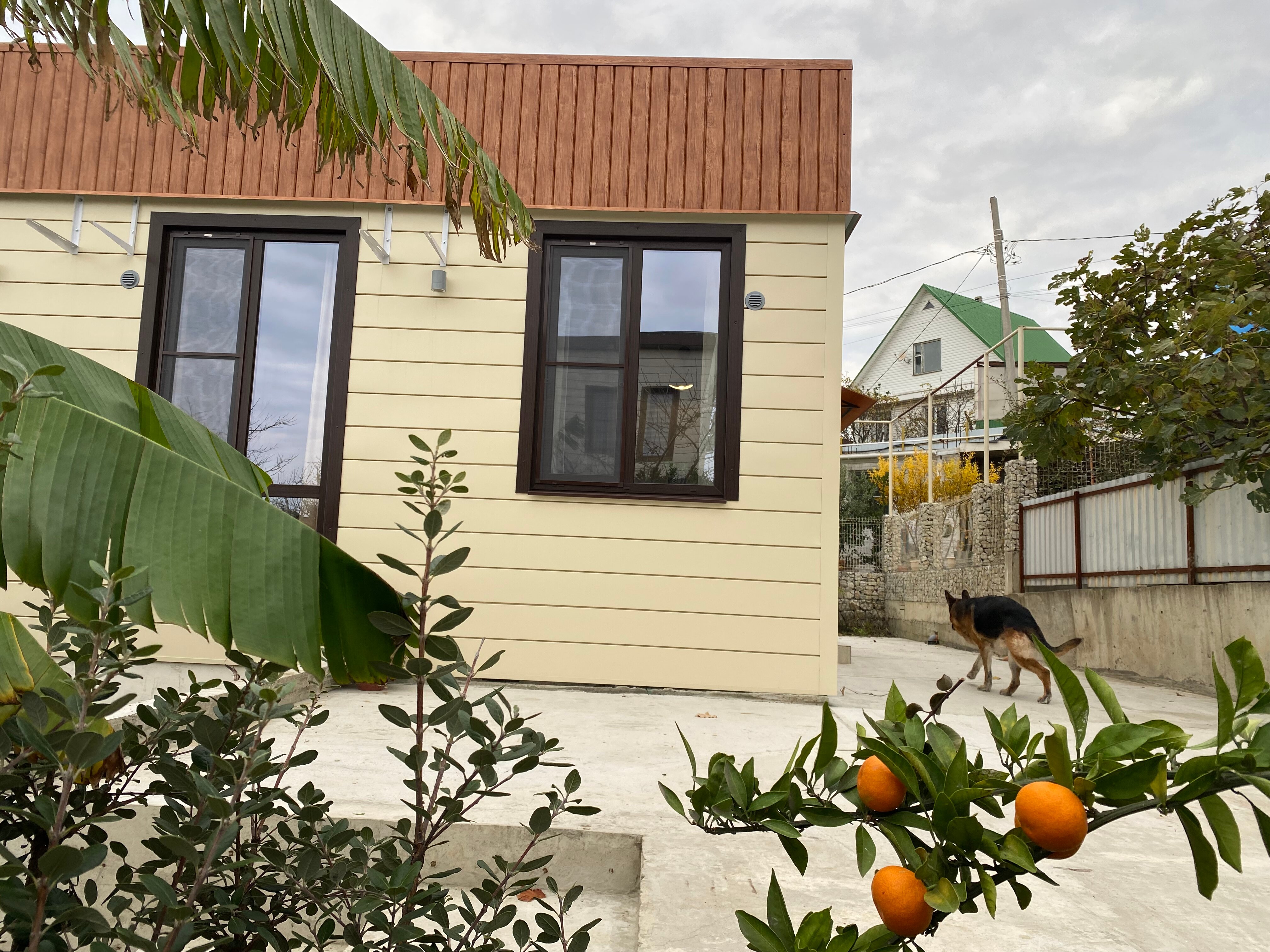 Фото Видисвет