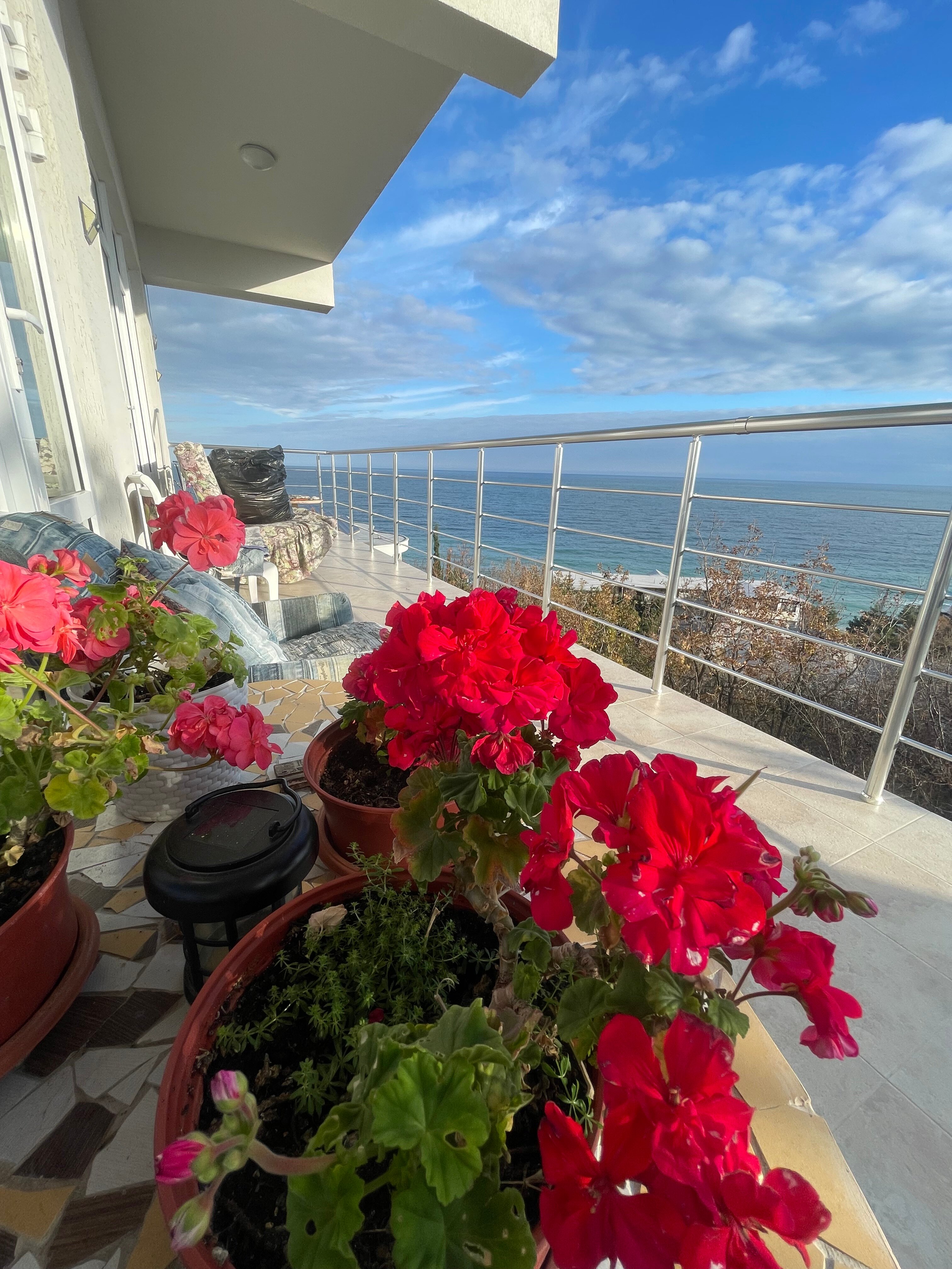 Фото Сиеста