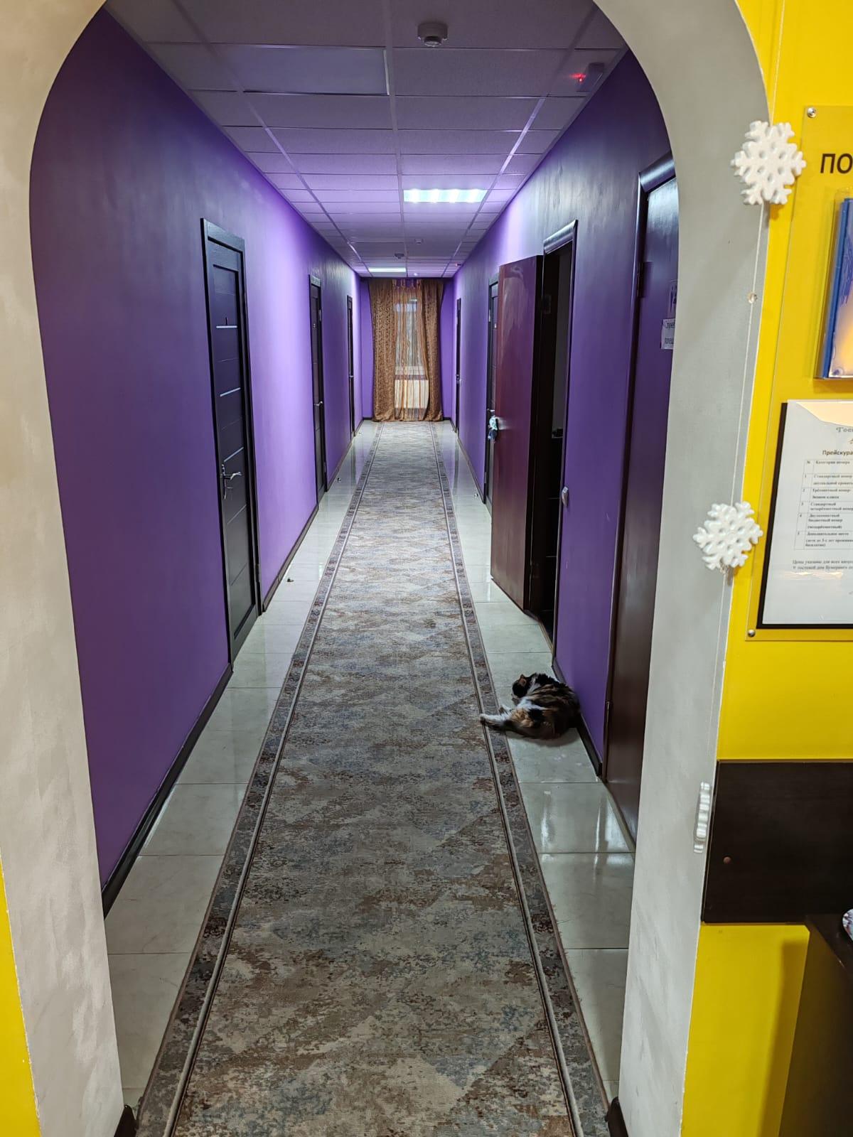 Фото Бумеранг