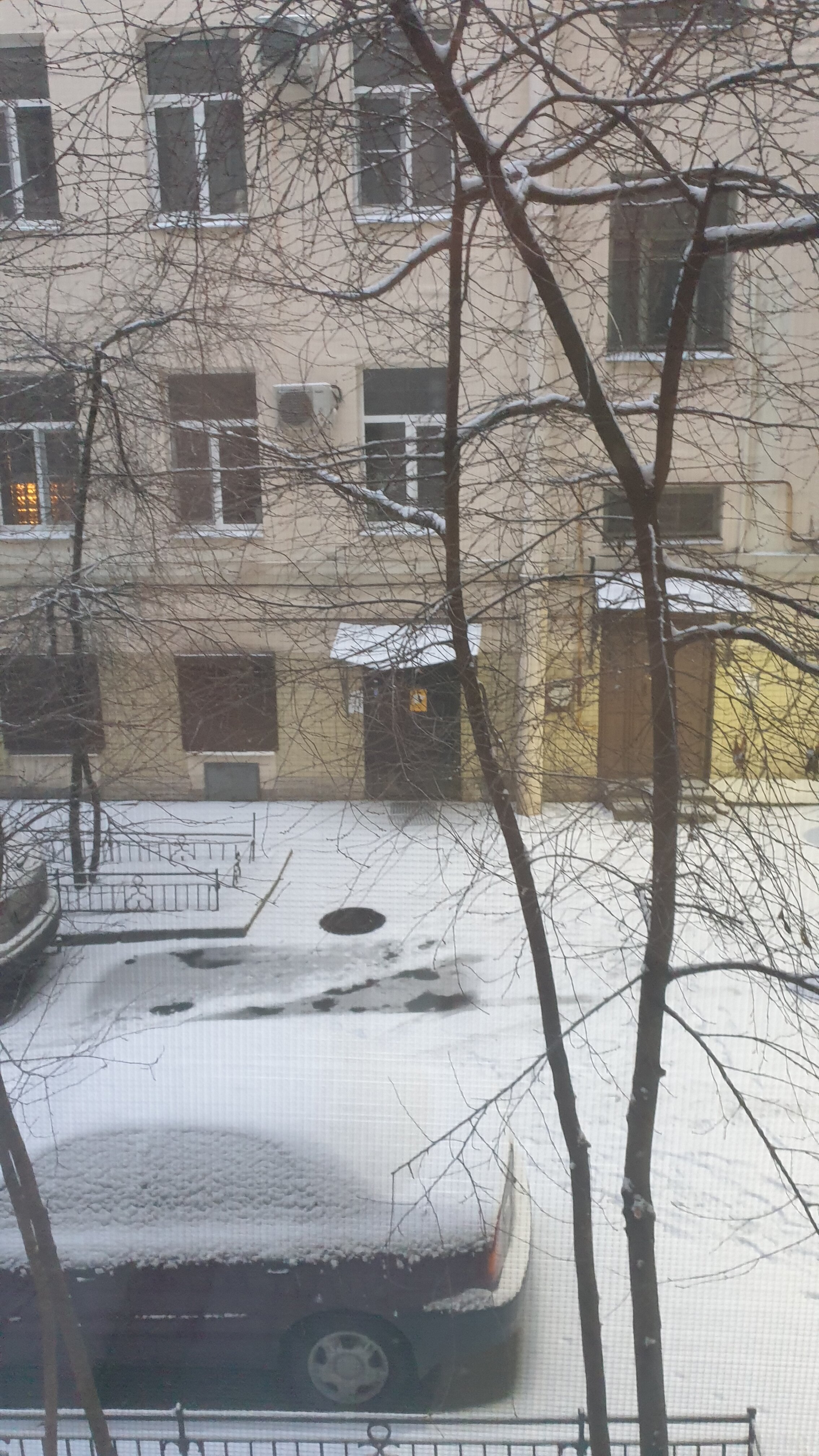 Фото ColorSpb Цветочный дом