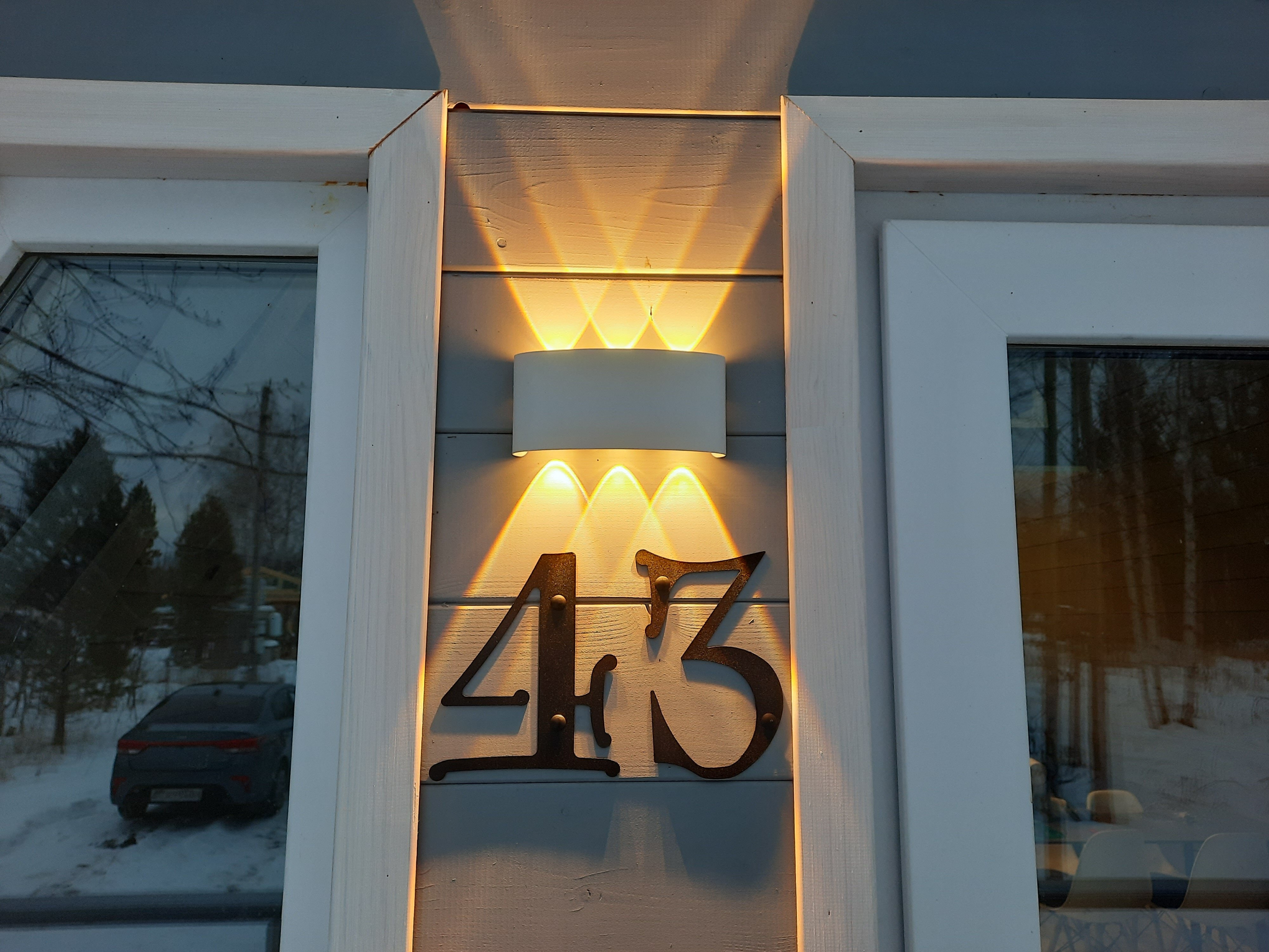 Фото Свобода леса