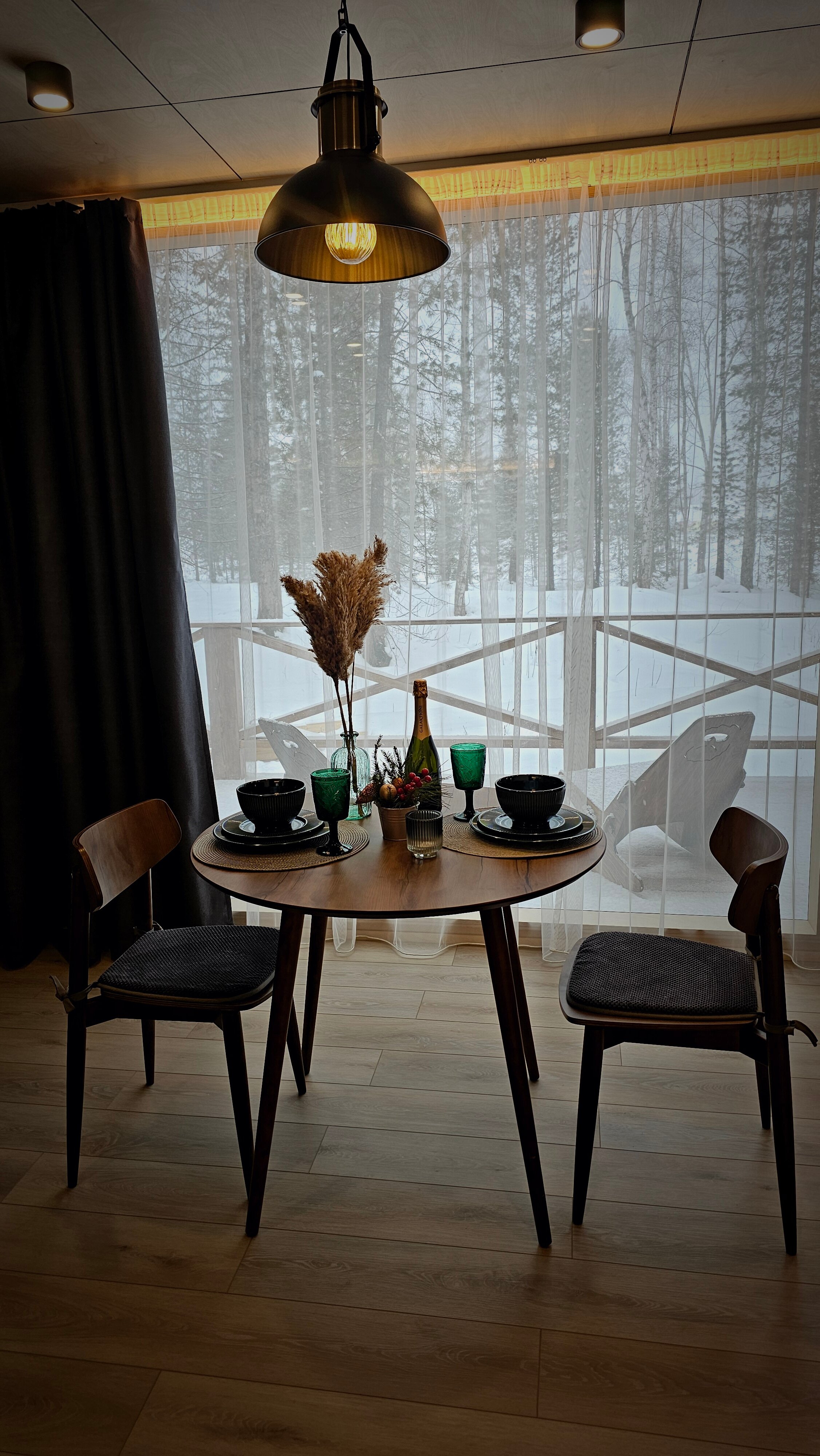 Фото Снежные Гуси