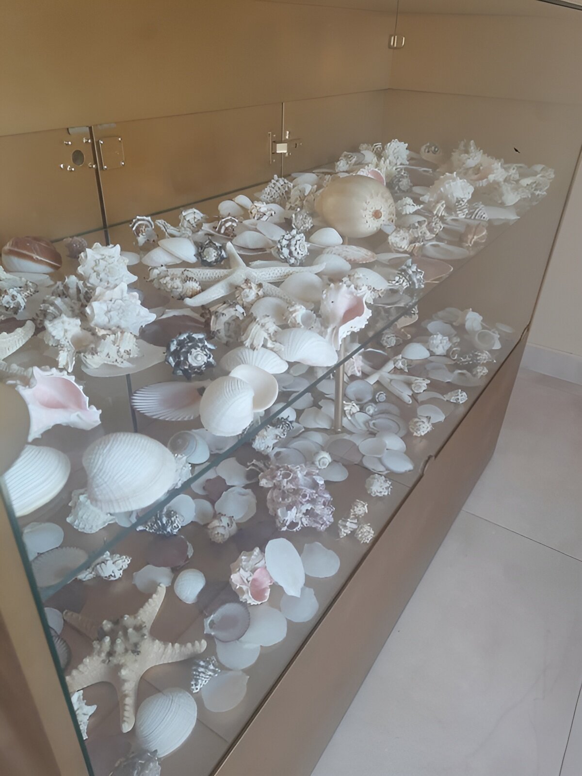 Фото Золотой берег