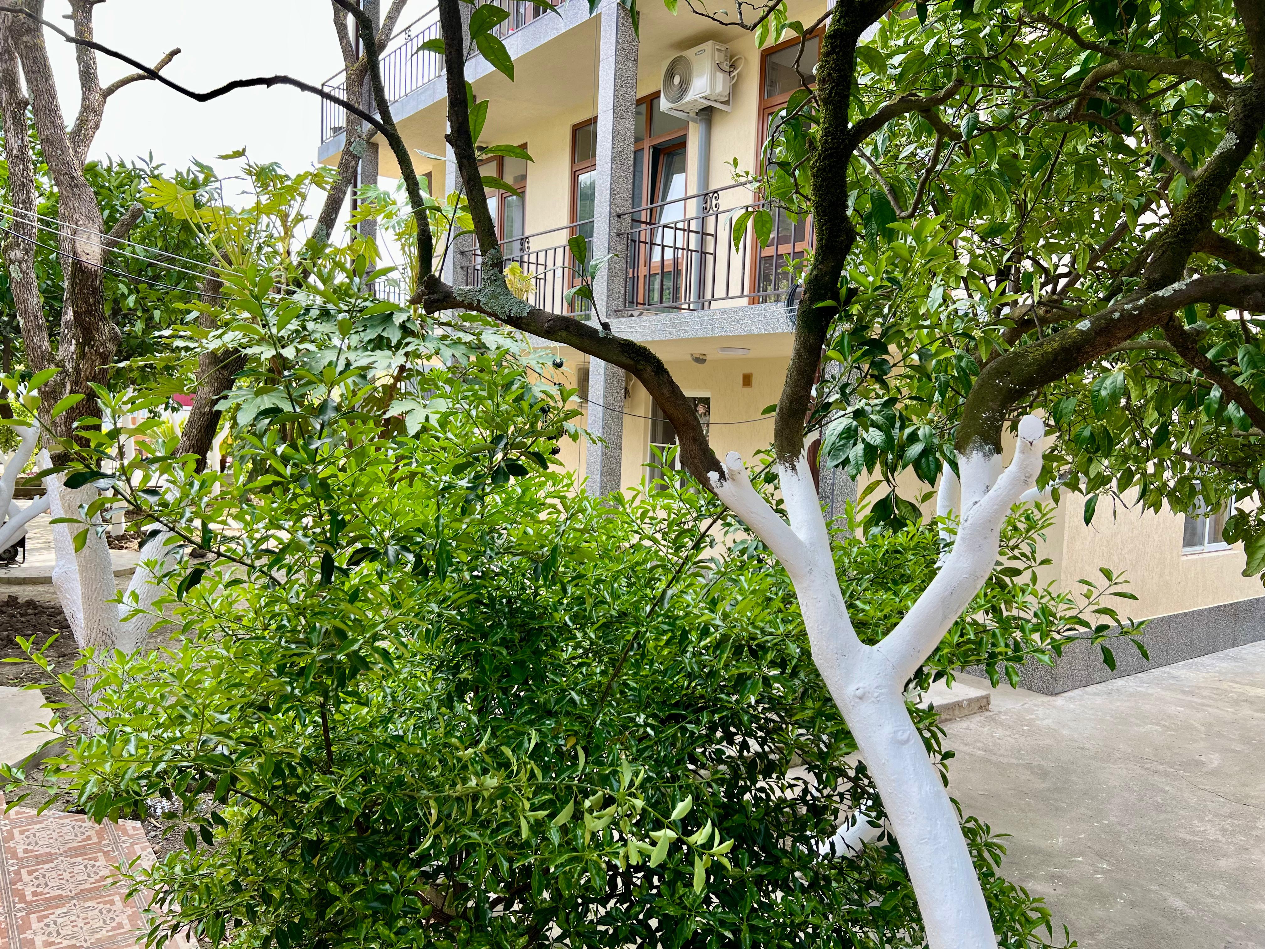 Фото отеля 4