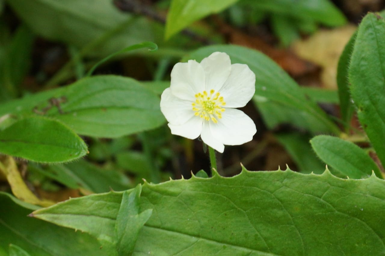 Фото АпачаКамТрэвел