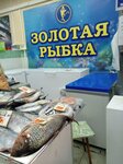 Золотая рыбка (Malysheva Street, 17к4), fish and seafood
