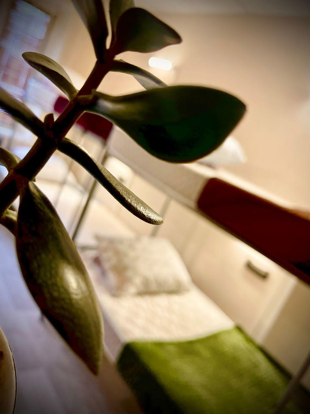 Фото Как Дома