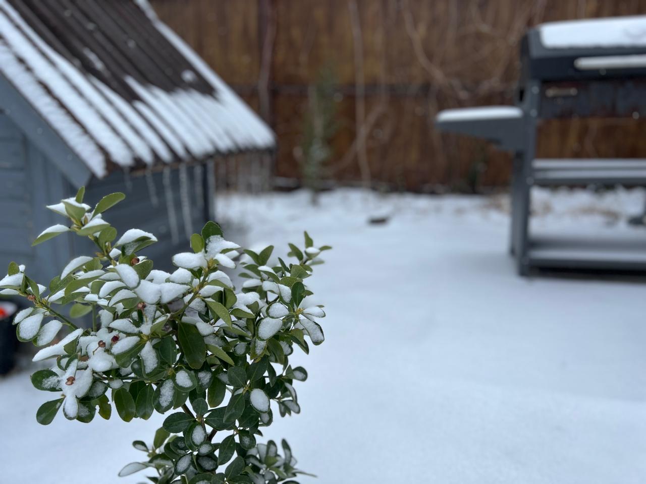 Фото ТеремДом