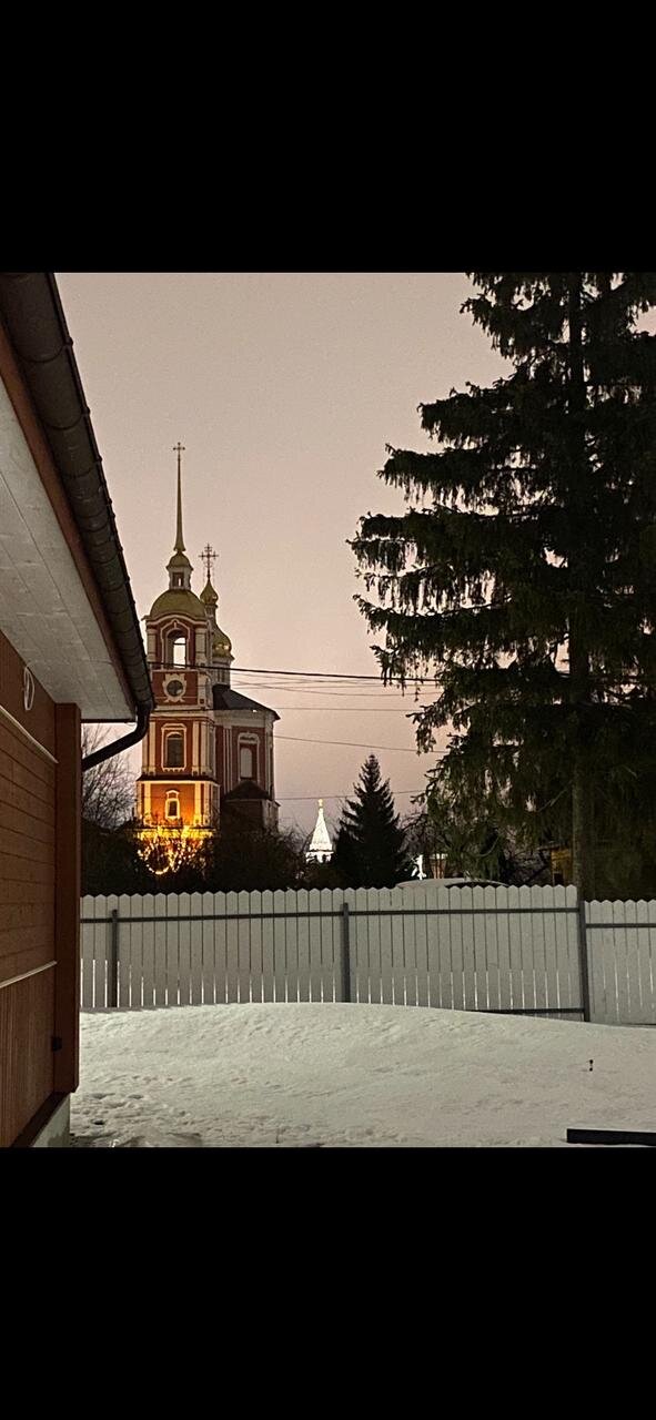 Фото Брусника