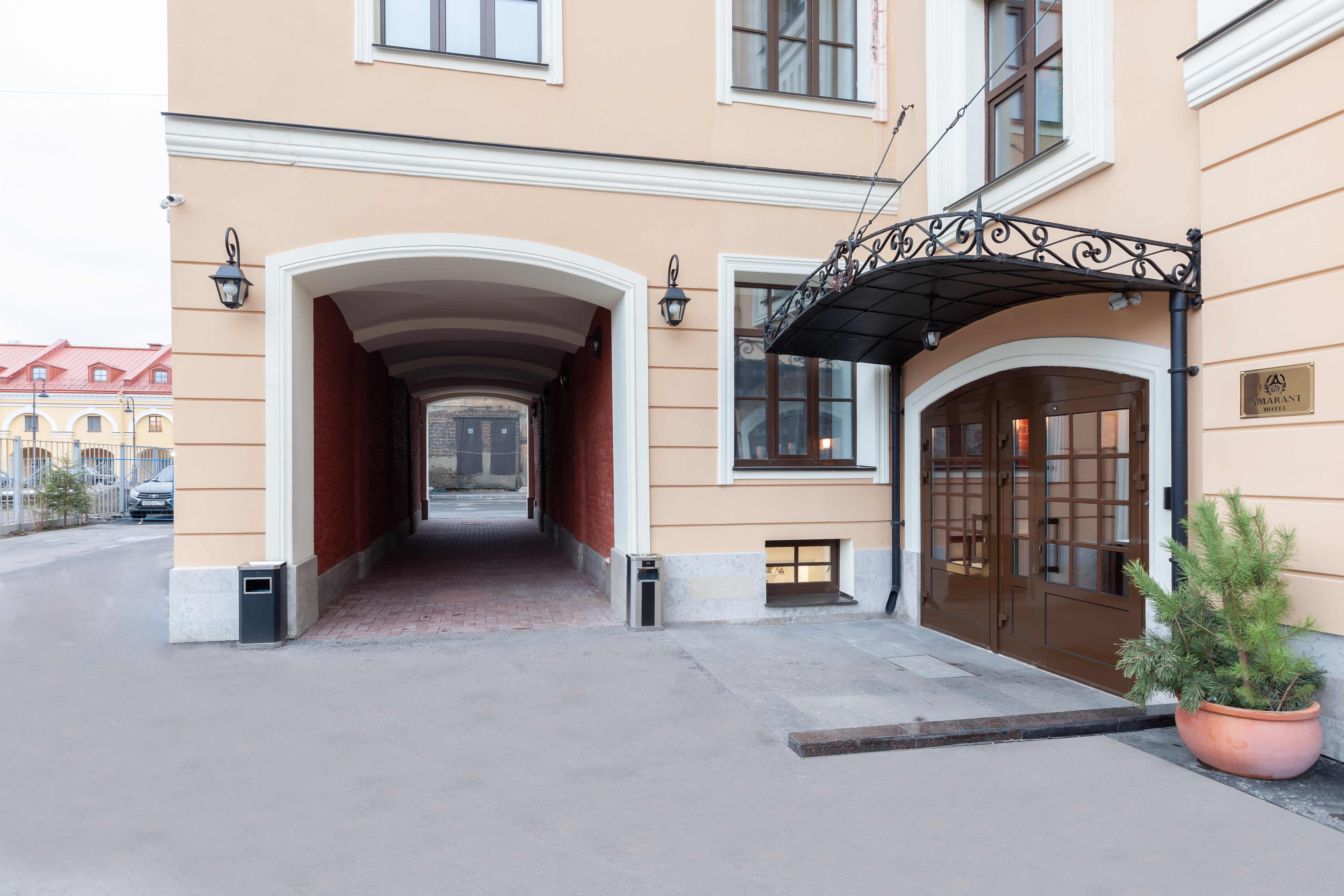 Фото Амарант