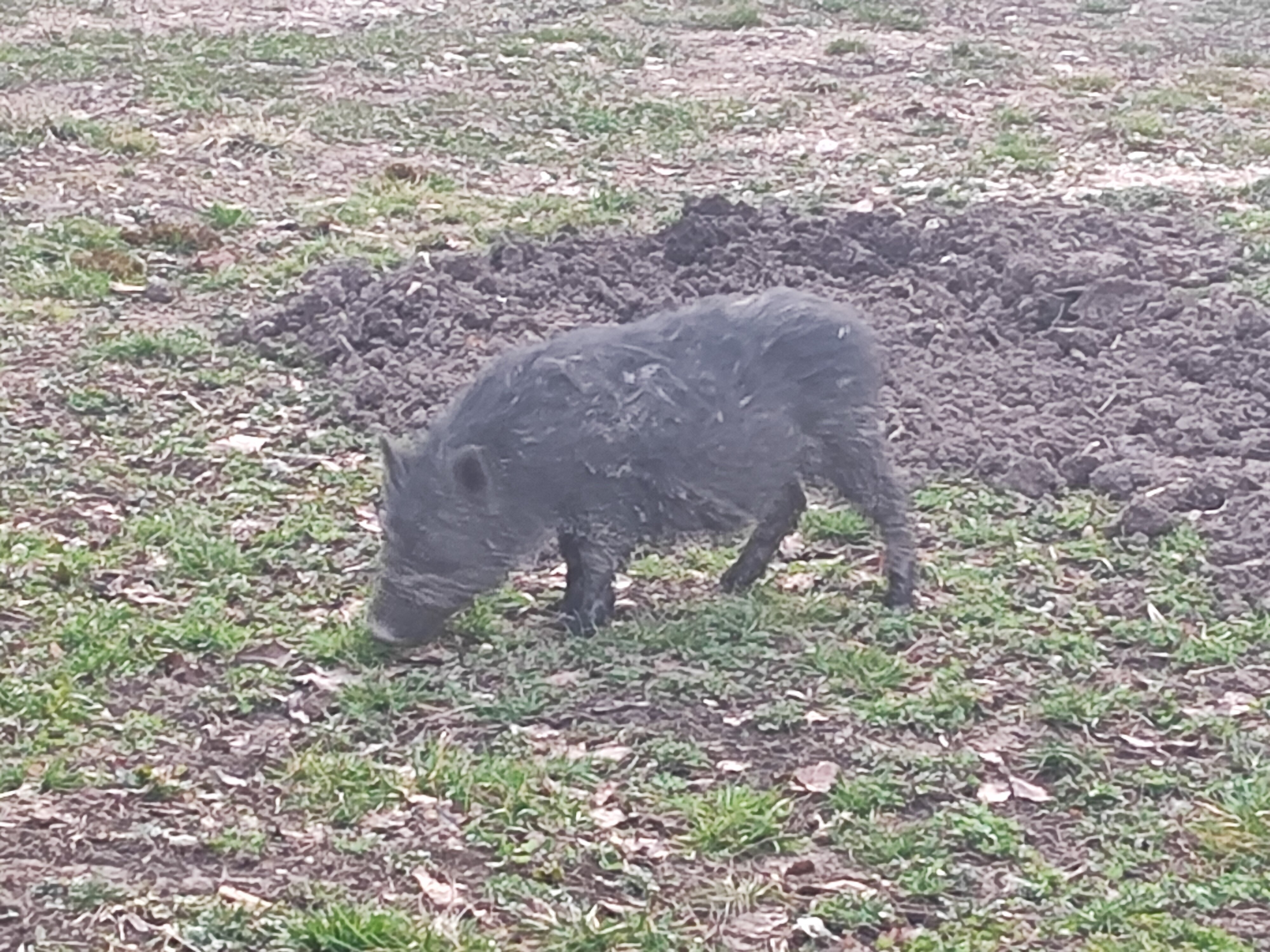 Фото Другой берег