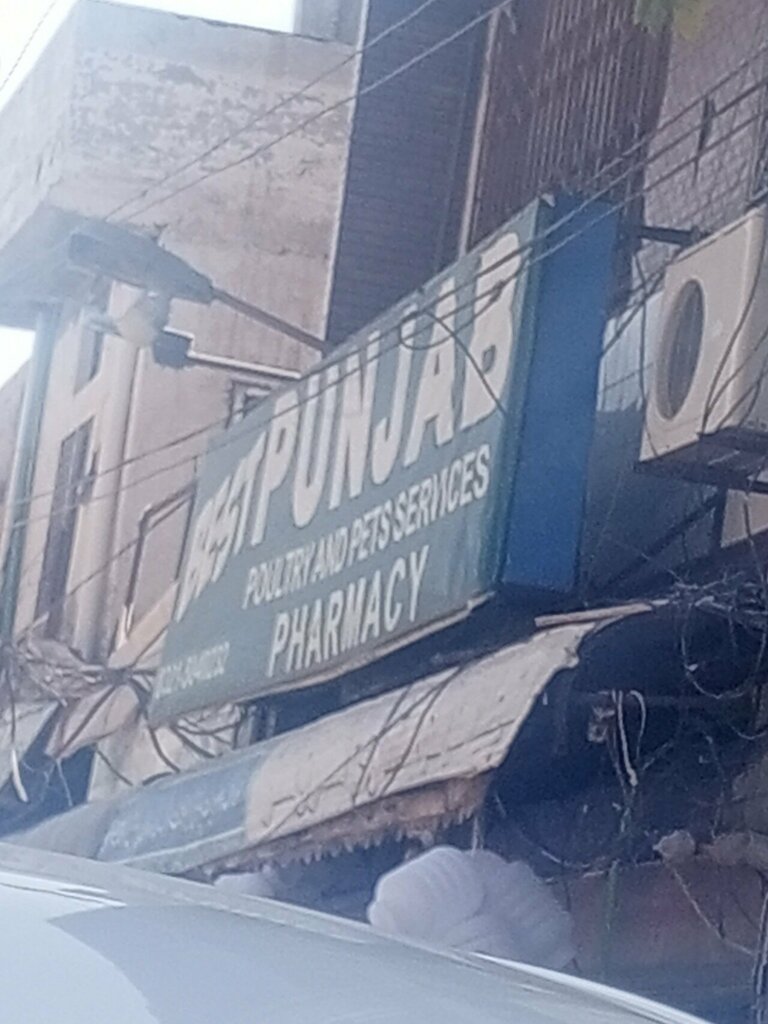 Agricultural enterprise Punjab Poultry Services, Rawalpindi, photo