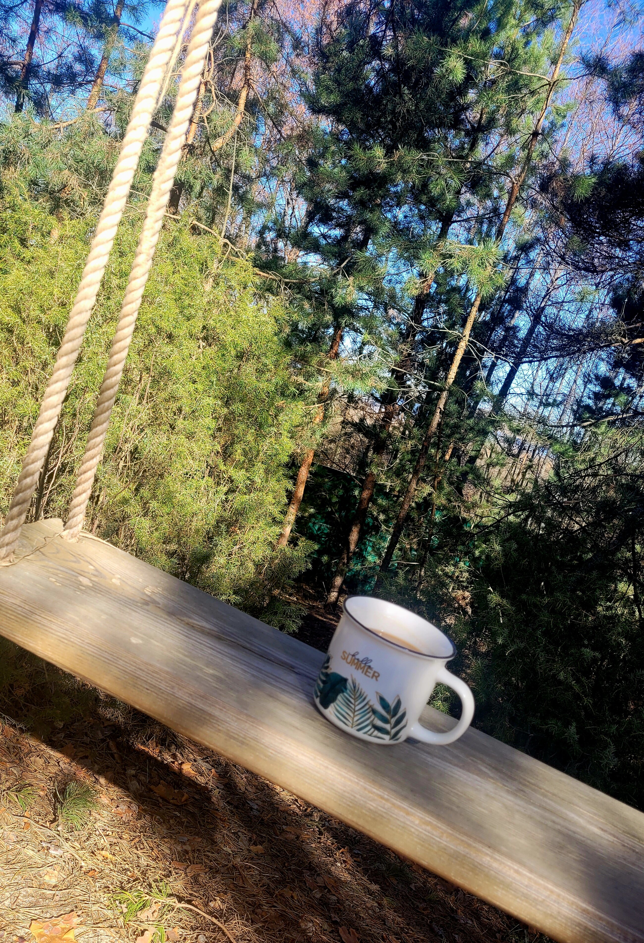 Фото Мишкино