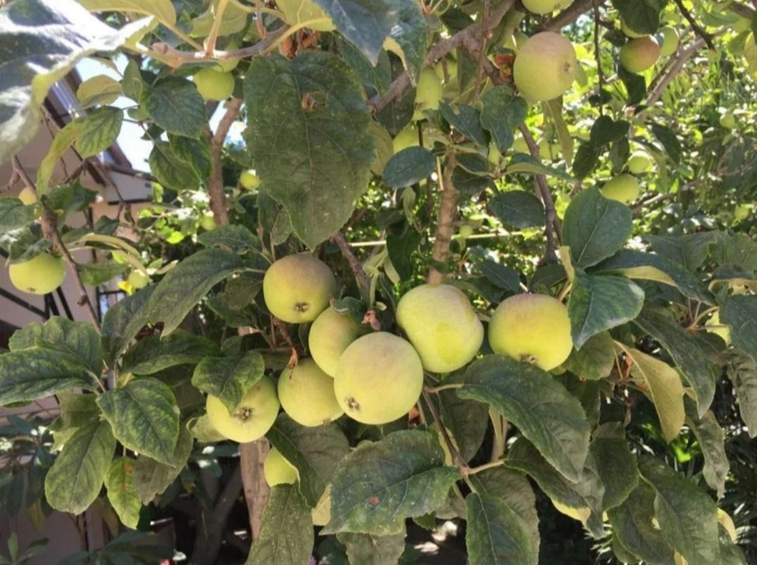 Фото Мотив у моря