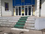 Тюль и шторы (prospekt imeni 50 let Oktyabrya, 93литЗ), cortinas, cornisas