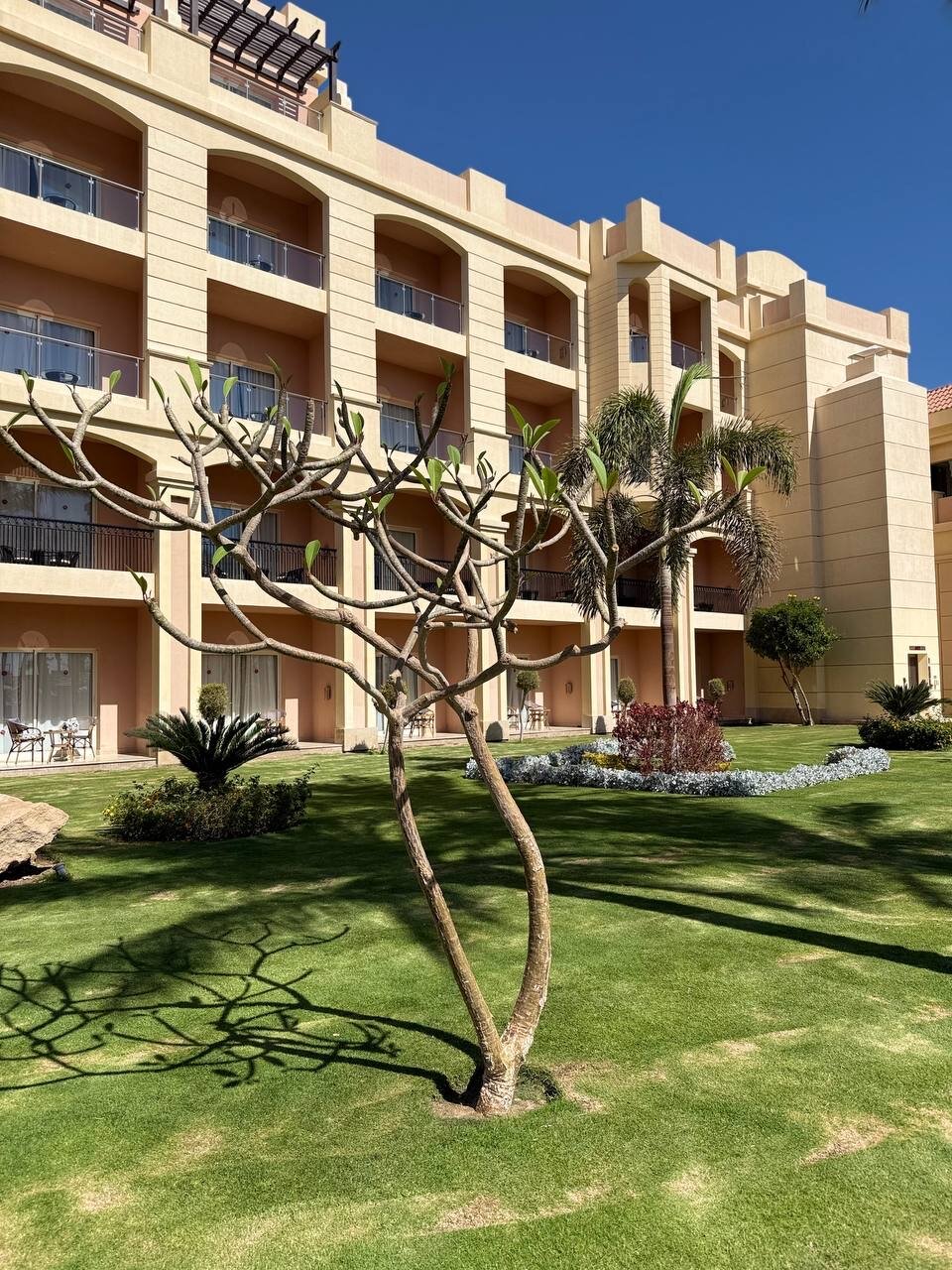Фото Tropitel Sahl Hasheesh