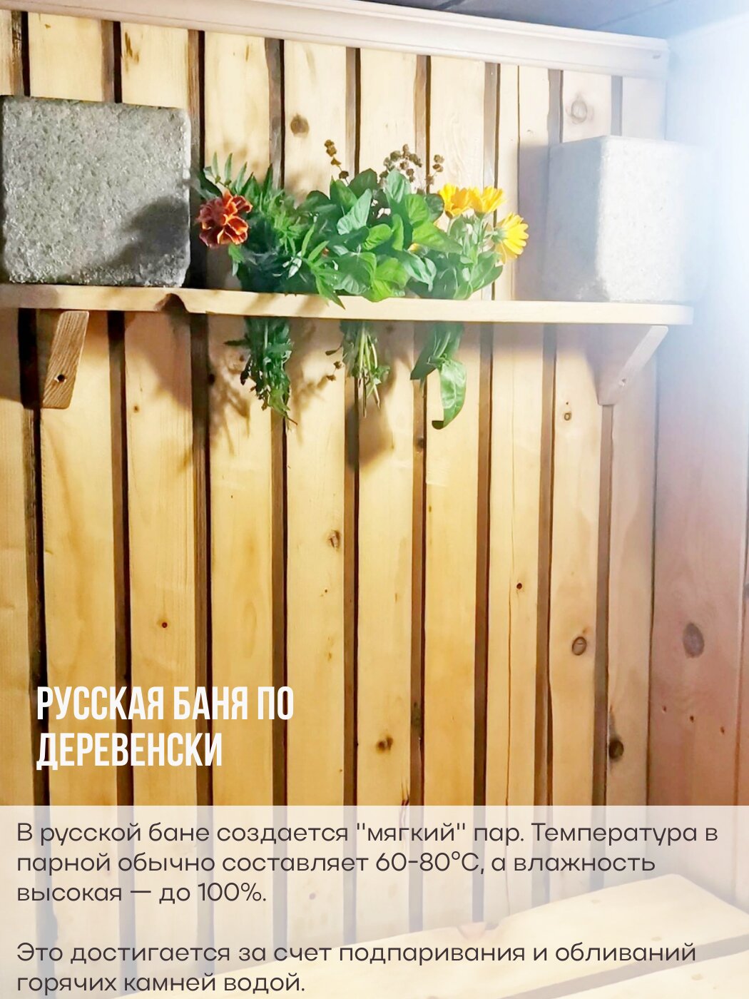 Фото Алтион