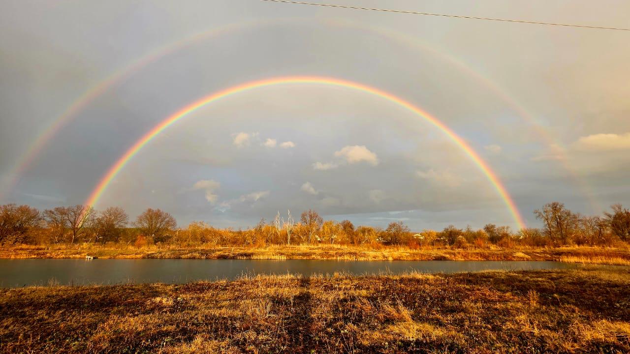 Фото Экодом у пруда