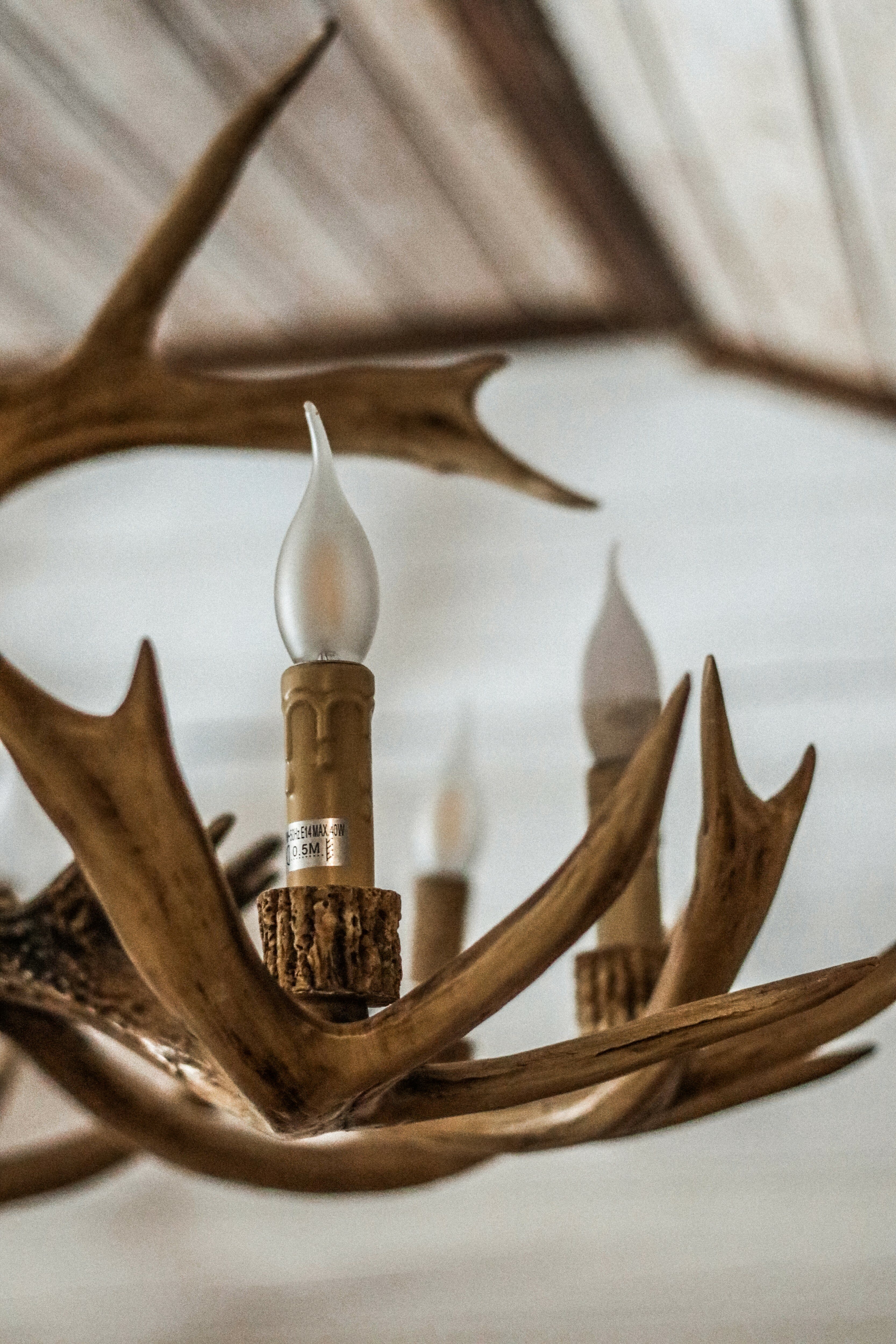 Фото SPA-Курорт Кедровый