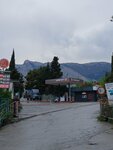 Grifon (Autonomous Republic of Crimea, Yaltinskiy gorodskoy sovet, Urban-Type Settlement of Gaspra), gasolinera