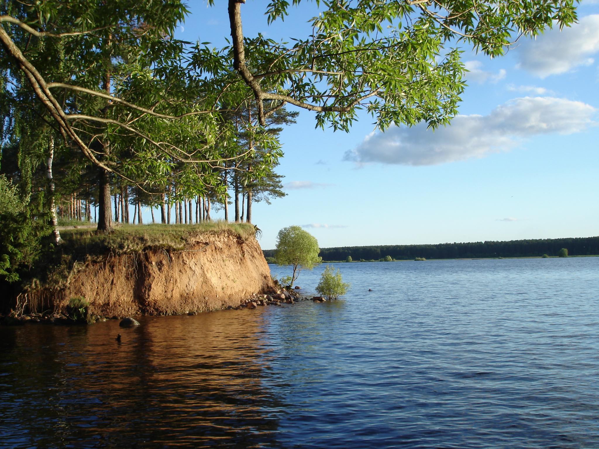 Фото Вселуг