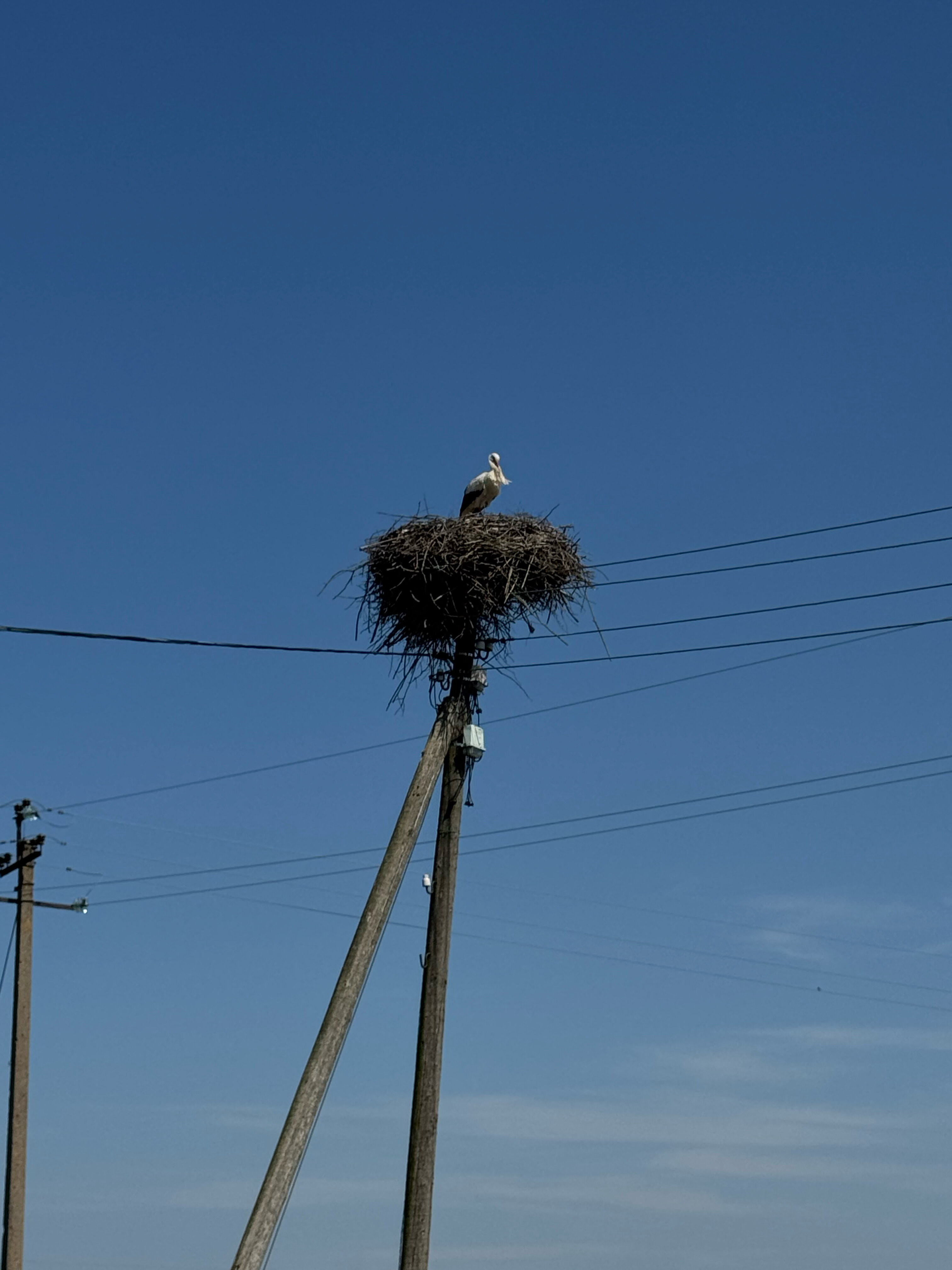 Фото Родная долина