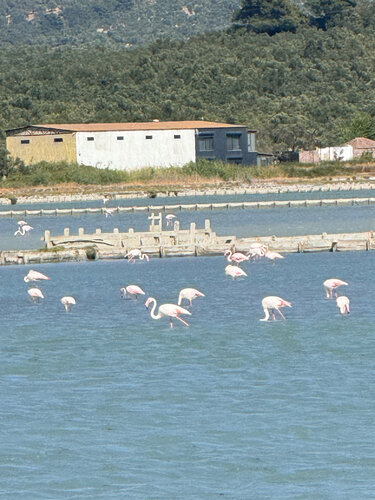 Landmark, attraction Salt Lake, Ayvalik, photo