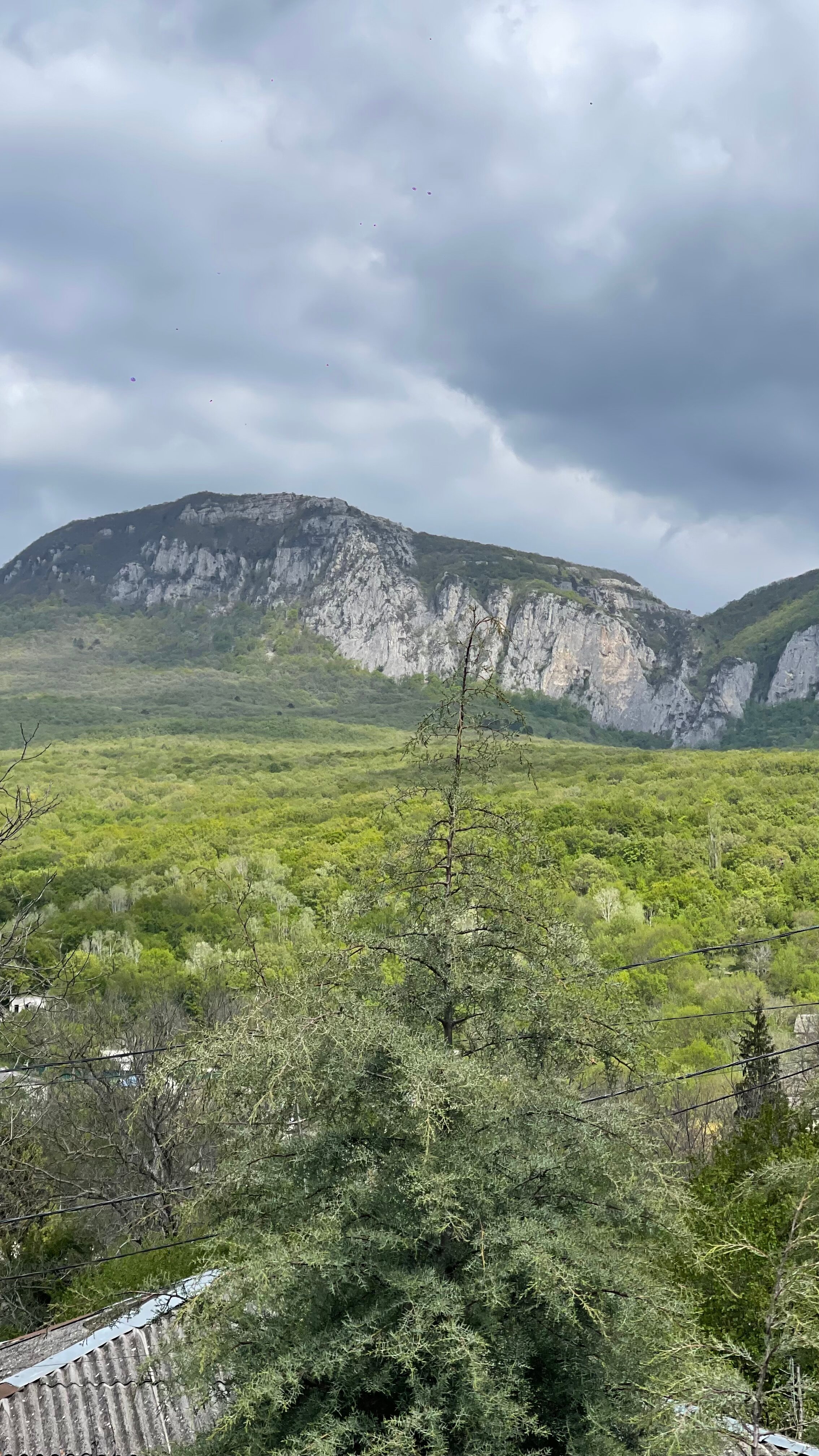 Фото Вилла Чёрная Скала