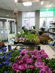 Сад цветов (Tverskaya Street, 29к2), floristeria