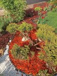MirMulchi (Kirpichnye Vyemki Street, 5с4), tienda para jardineros