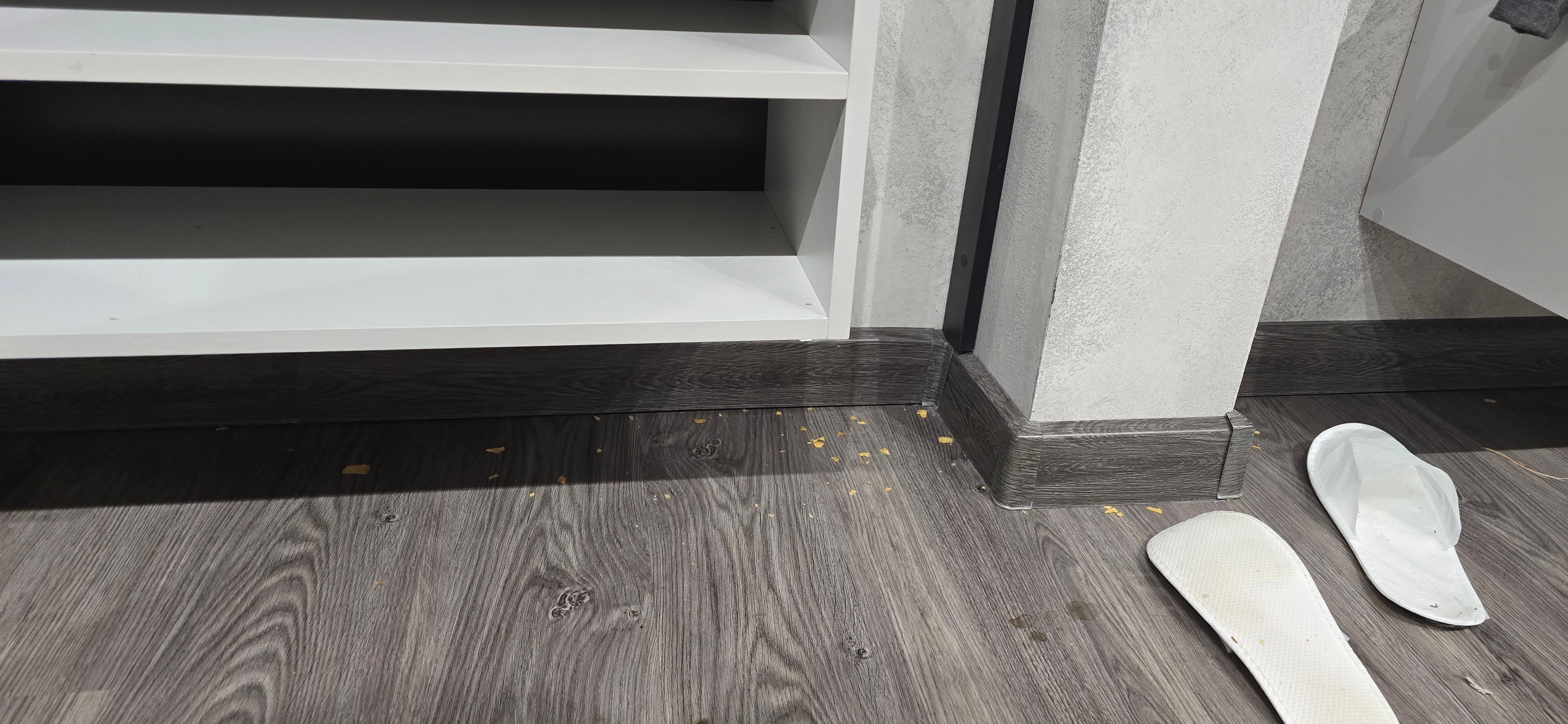 Фото Иркутский кедр