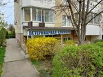 ВетСи (Karyakina Street, 31), veterinary clinic