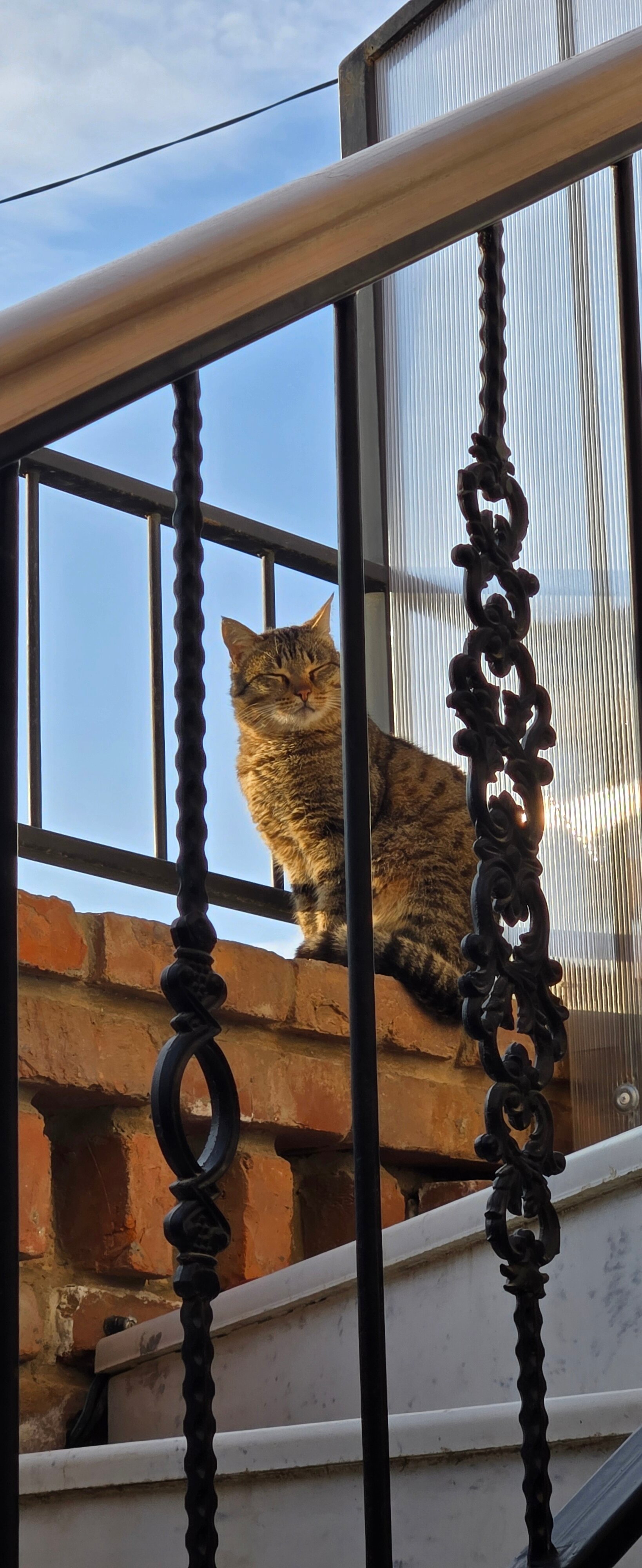 Фото Джентельмен