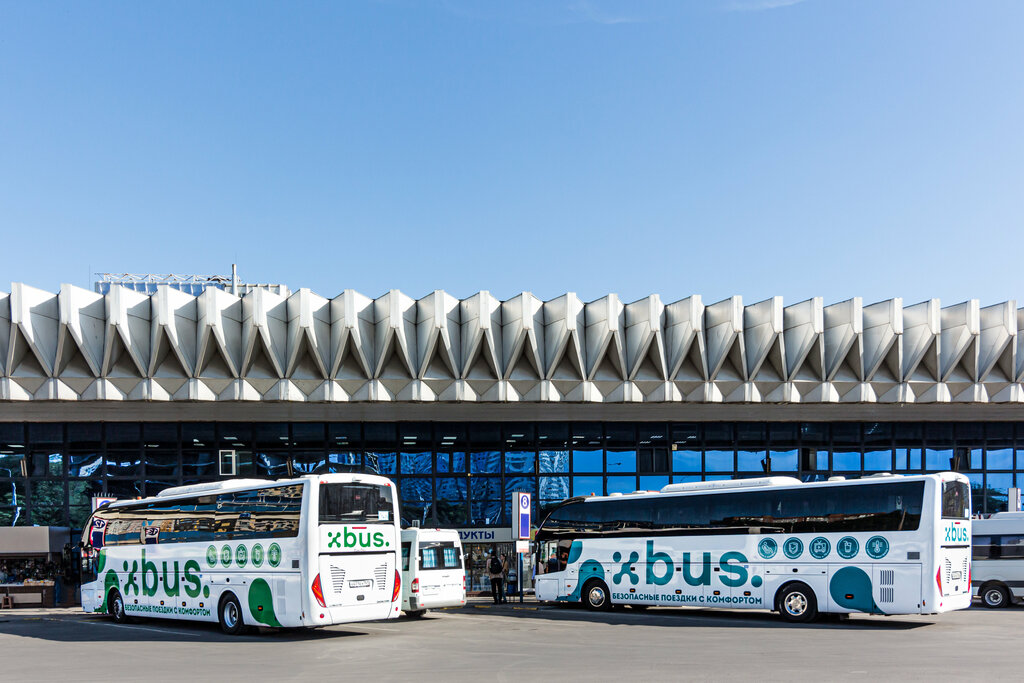 Автобусные билеты ДонБилет, Ростов‑на‑Дону, фото