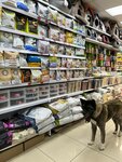 Линда (Fatykha Amirkhana Street, 41) ، متجر للحيوانات الأليفة