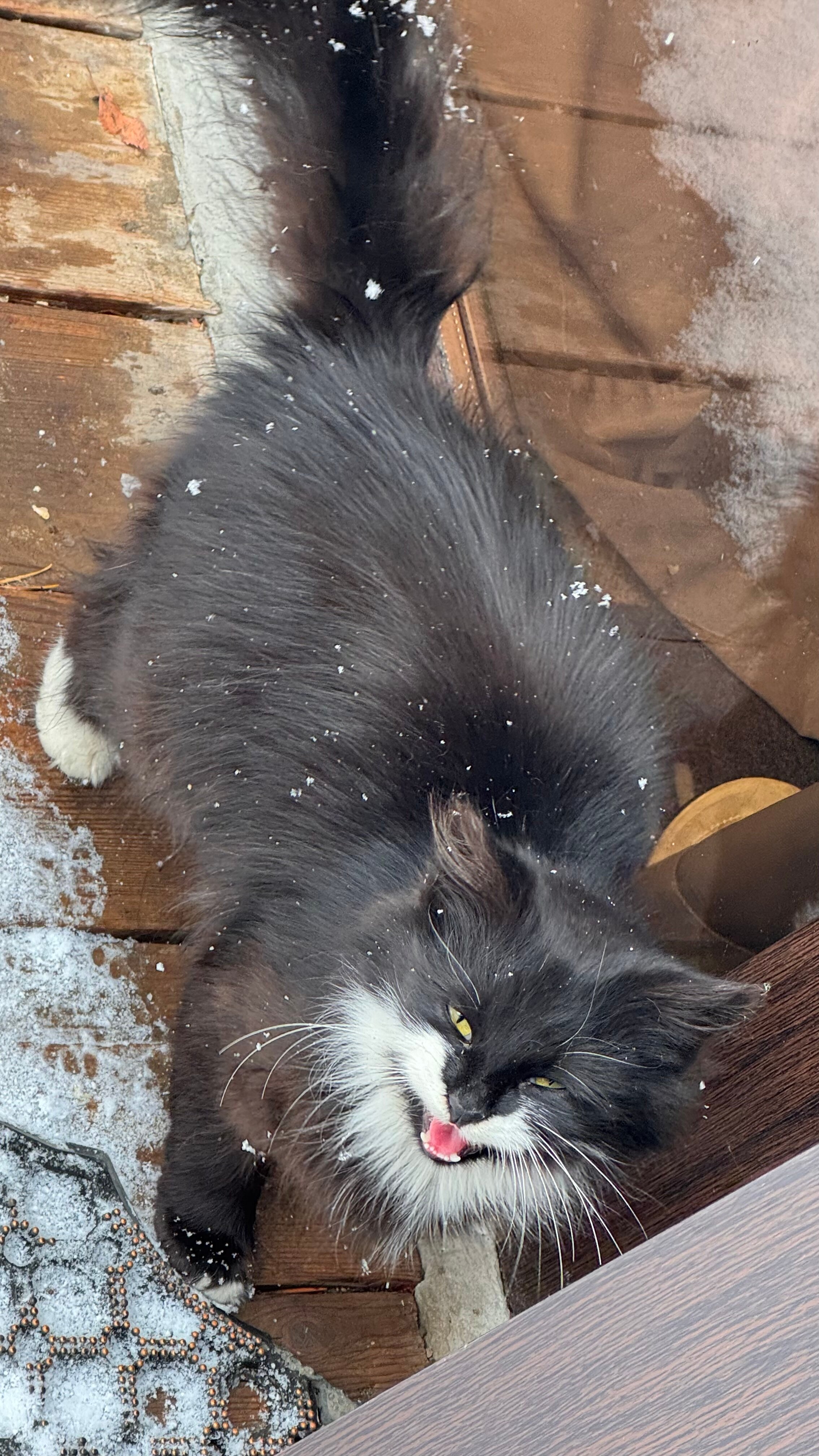 Фото Terskol Chalet