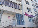 Wildberries (Entuziastov Street, 4), point of delivery