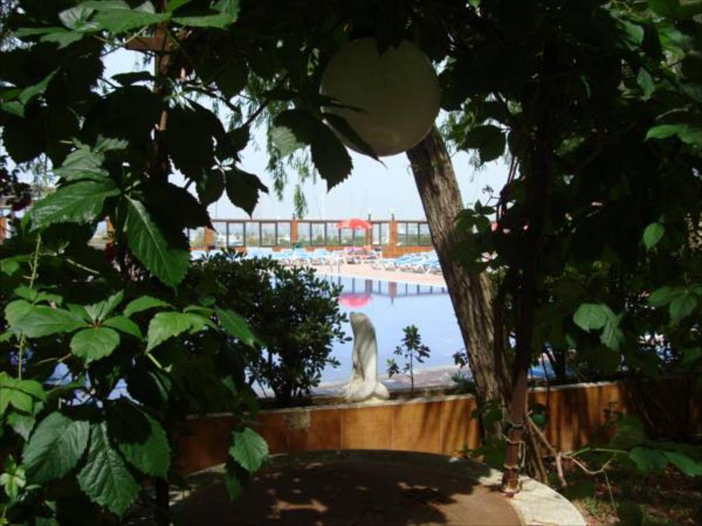 Фото Hotel Univers