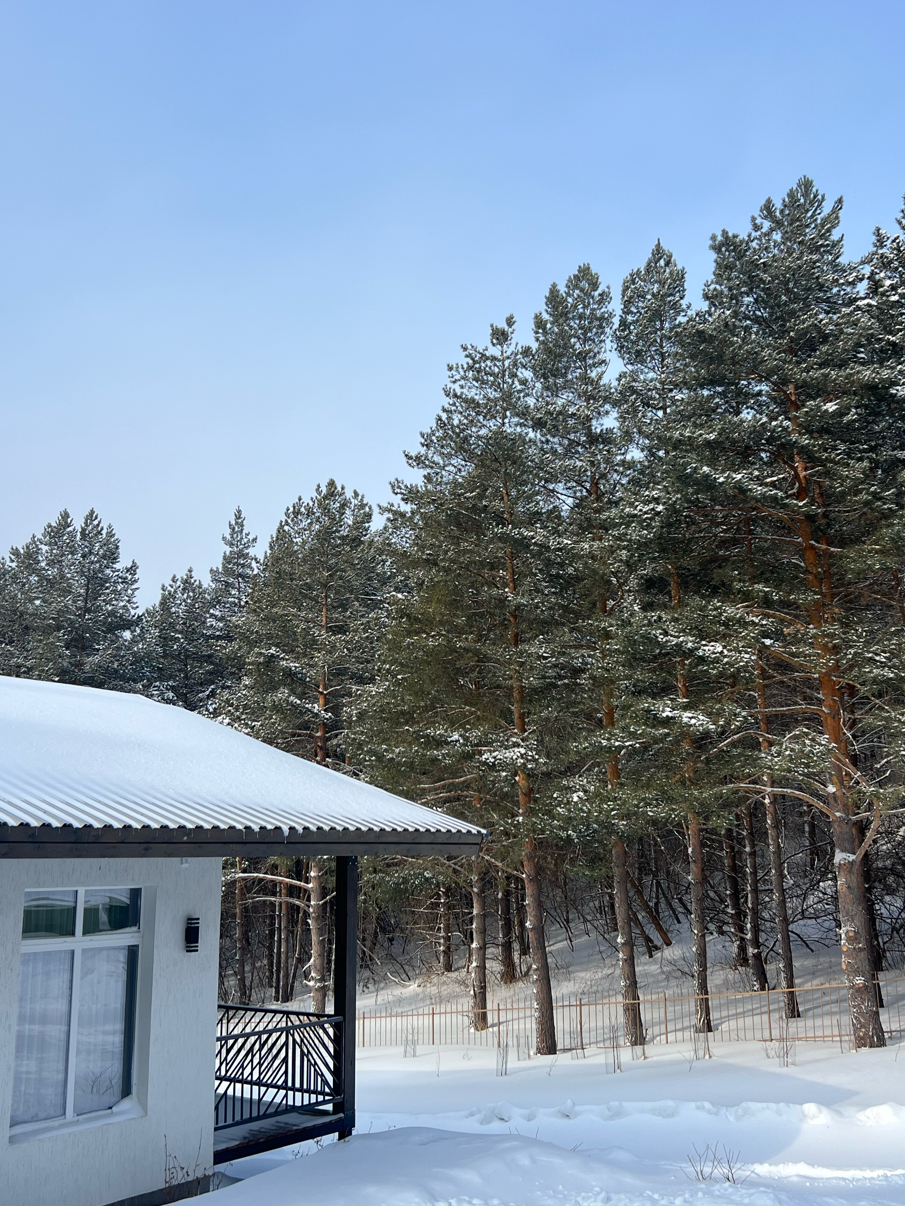 Фото ШалеИРИ